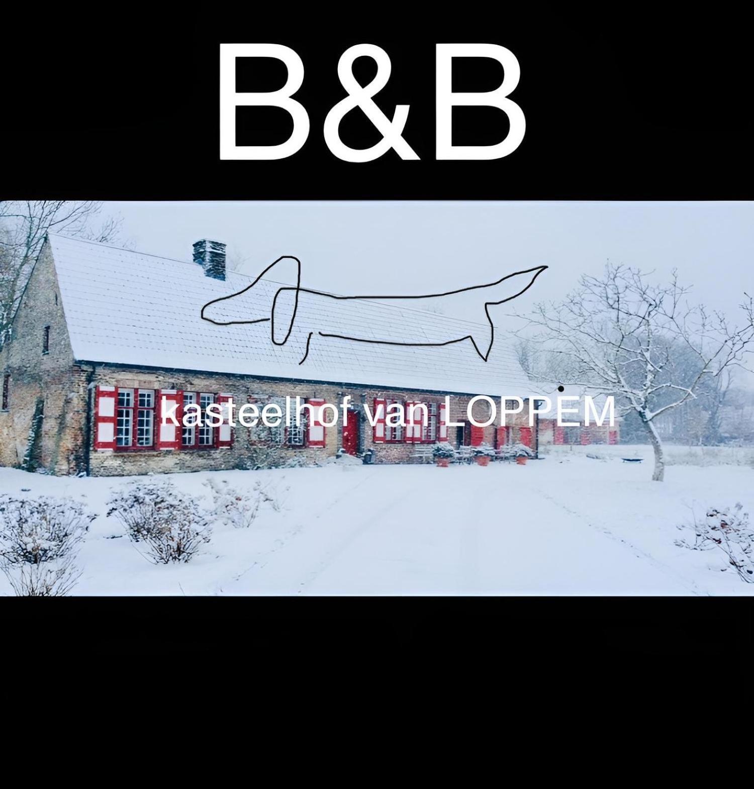 Kasteelhof Van Loppem Zewnętrze zdjęcie